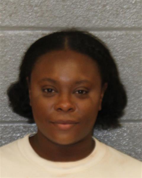 Booking photo of Diamond Ingram