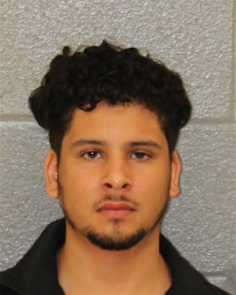 Booking photo of Alex Rios