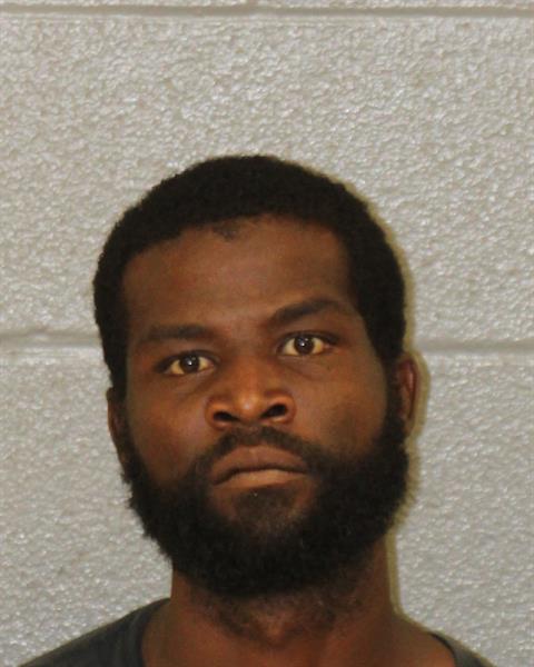 Booking photo of Ali Aarant