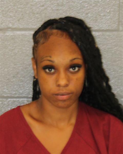 Booking photo of Aiyana Mcgill