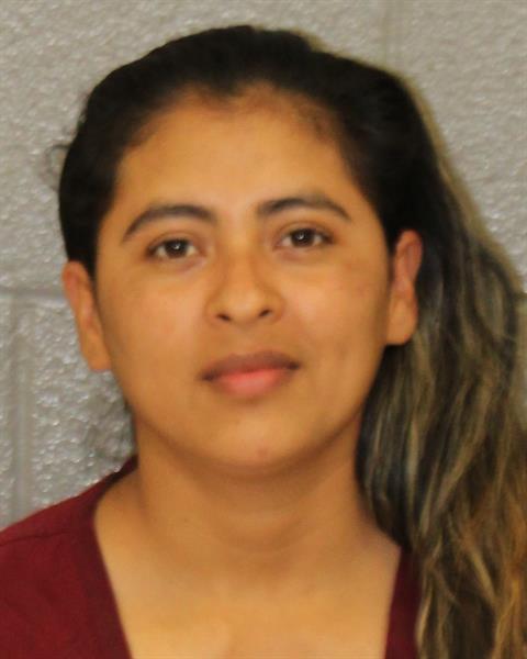 Booking photo of Dania Salvado-guardado