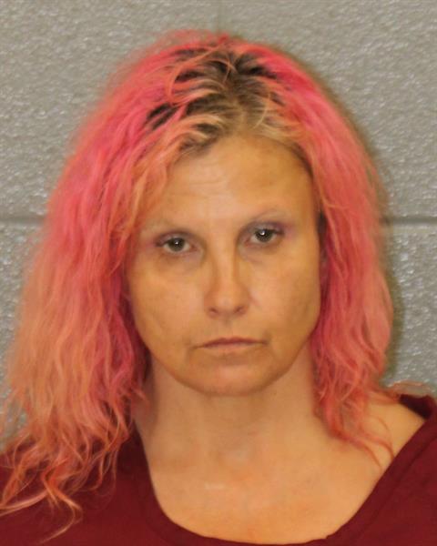 Booking photo of Michelle Wilbanks