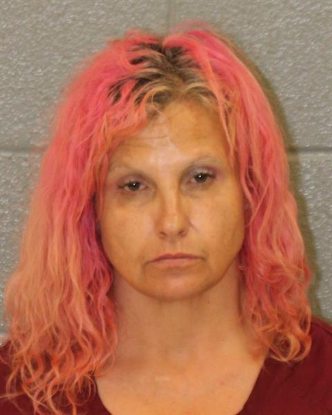 Booking photo of Michelle Wilbanks