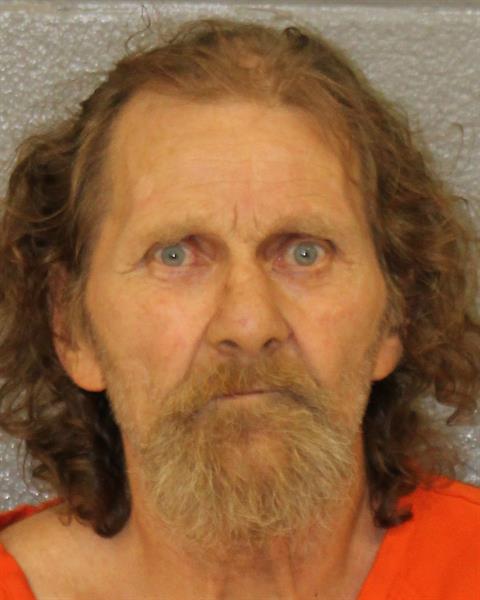 Booking photo of David Bridges