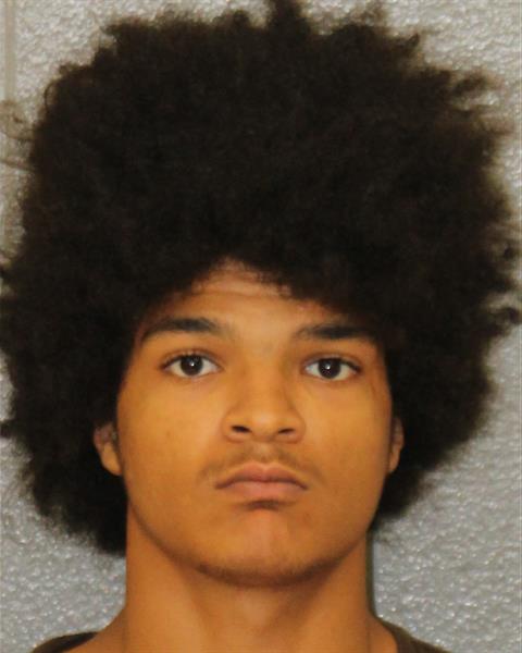 Booking photo of Santana Williams