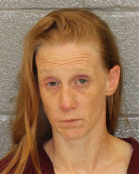 Booking photo of Heather Metz