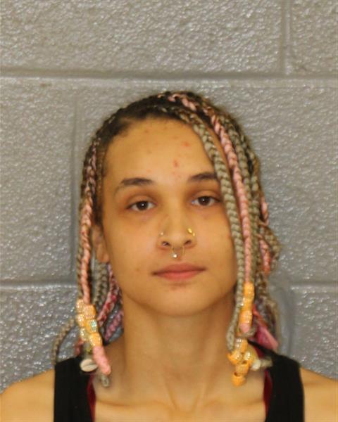 Booking photo of Taylor Heckman