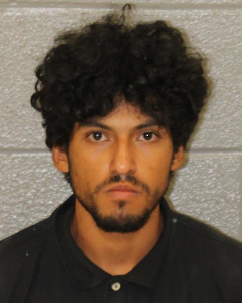 Booking photo of Hamilton Martinez-gonzalez