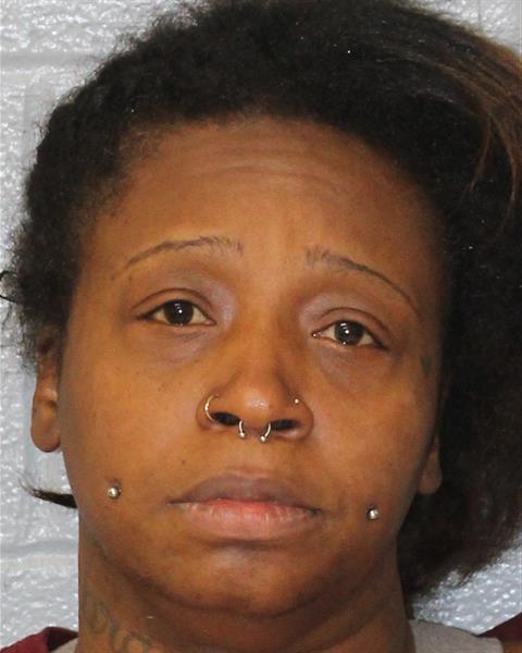 Booking photo of Erica Seegars