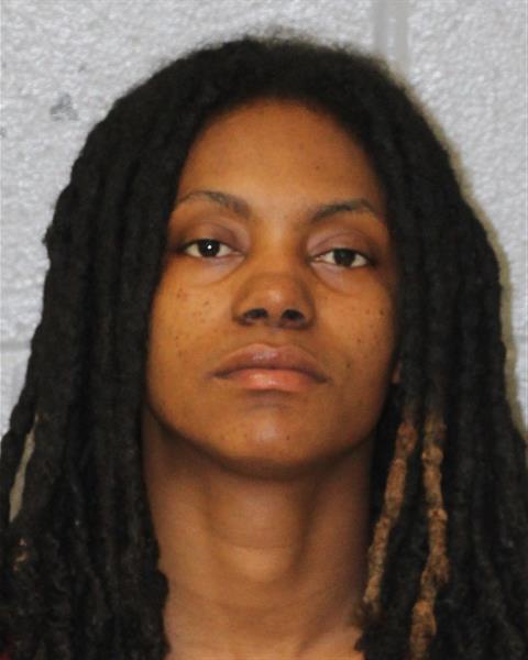 Booking photo of Destinee Little