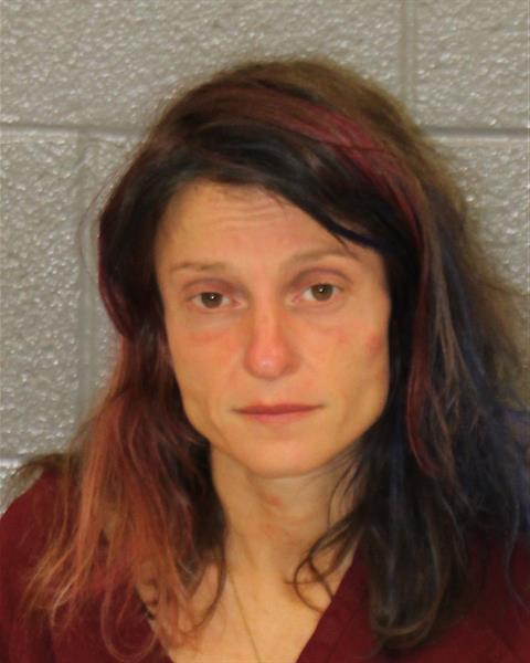 Booking photo of Joanne Vasilca