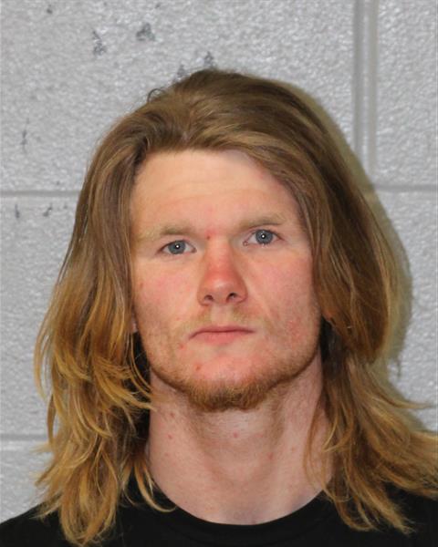 Booking photo of Dominic Turner