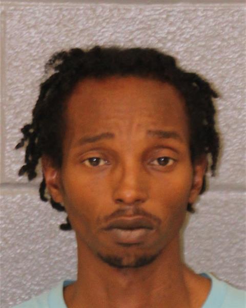 Booking photo of Brandon Lee