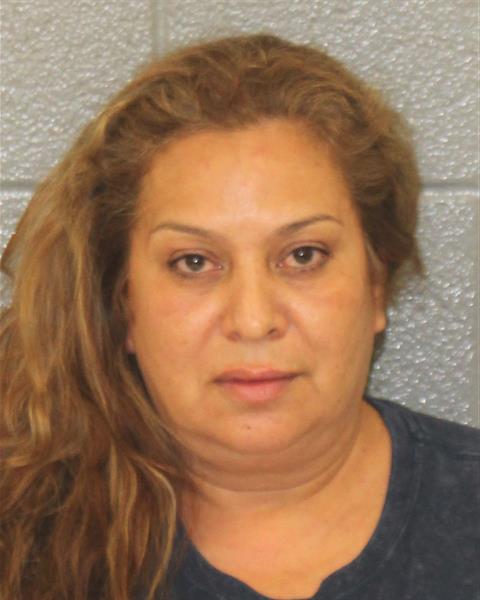 Booking photo of Norma Delgado-portillo