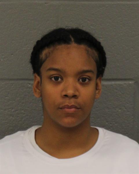 Booking photo of Danasia Williams