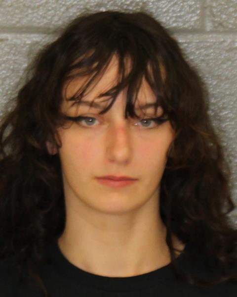 Booking photo of Angelina Sydenstricker