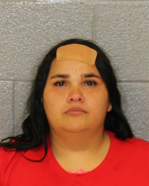Booking photo of Yanetzi Villalobos-villalobos