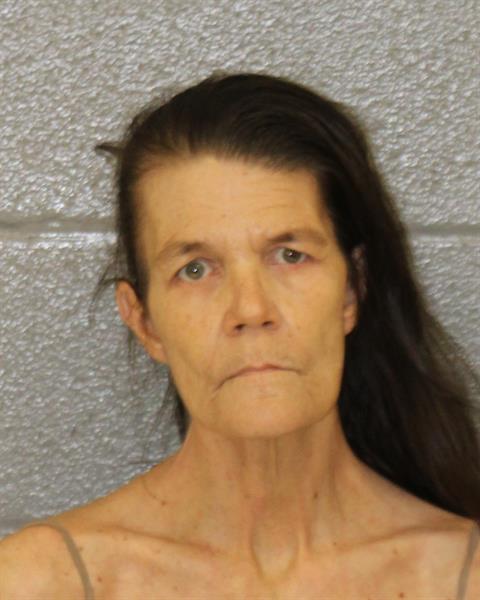 Booking photo of Yelonda Steinhiser