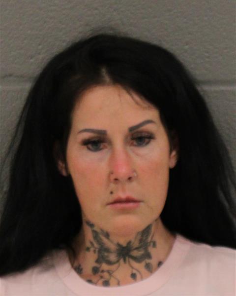 Booking photo of Candice Deyoung