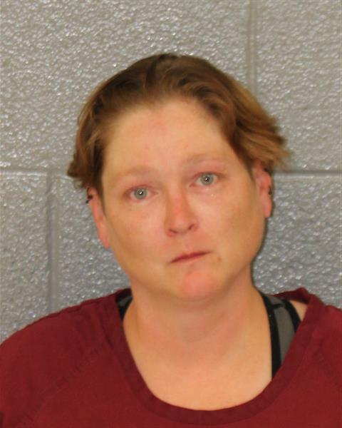 Booking photo of Karen Bryden