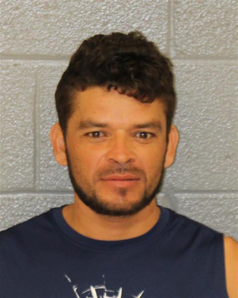 Booking photo of Luis Cubas-romero