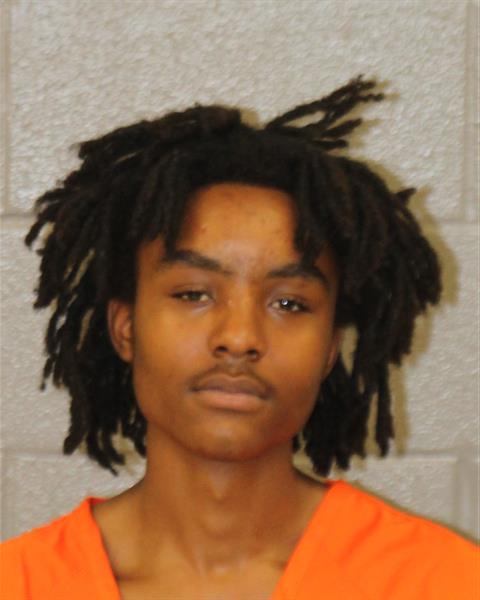 Booking photo of Darren Brice