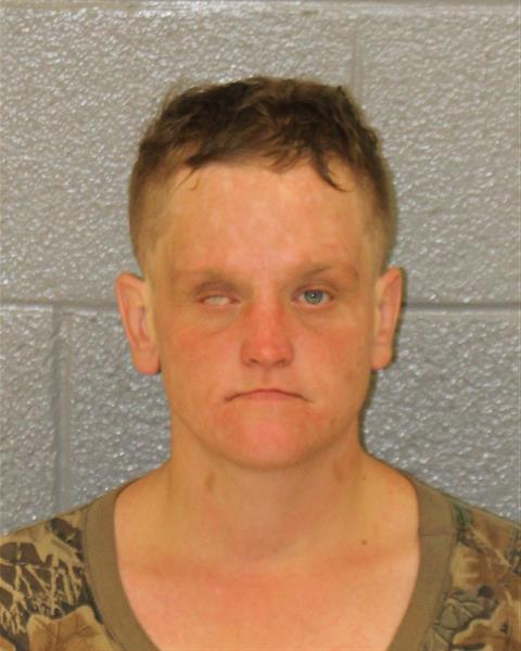 Booking photo of Brittany Sawyer