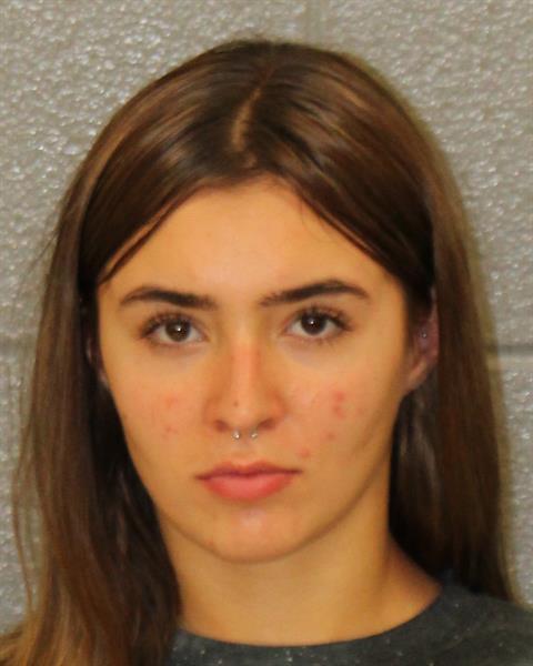 Booking photo of Gabriella Sofia