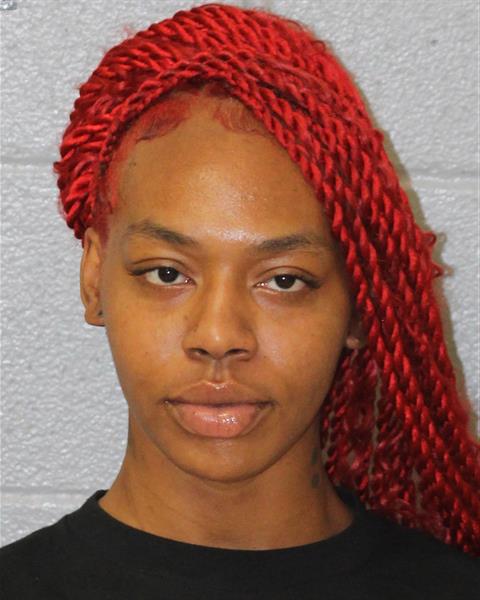 Booking photo of Breanna Carroll