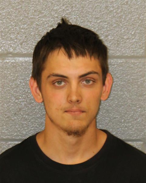 Booking photo of Brendon Hawkins