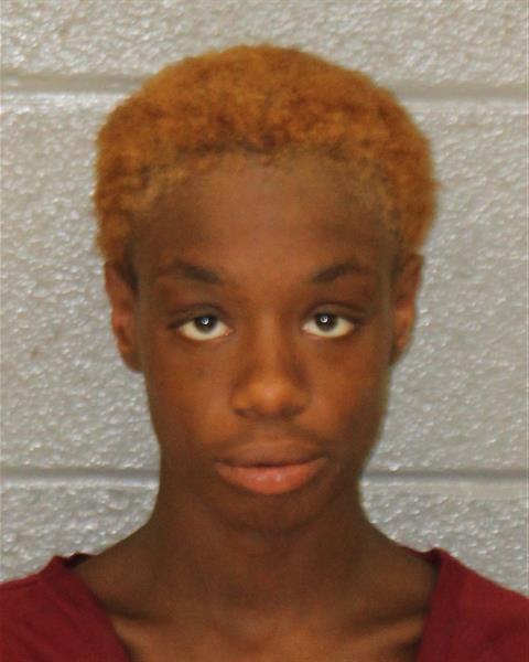 Booking photo of Katrinna Allison