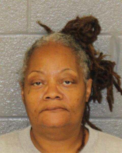 Booking photo of Dawn Johnston