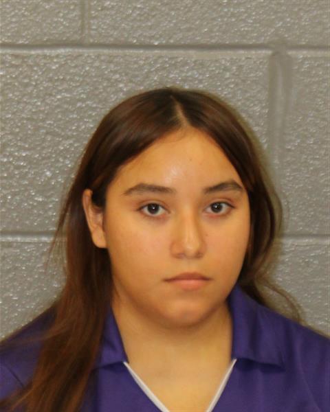 Booking photo of Sandy Cruz-diaz