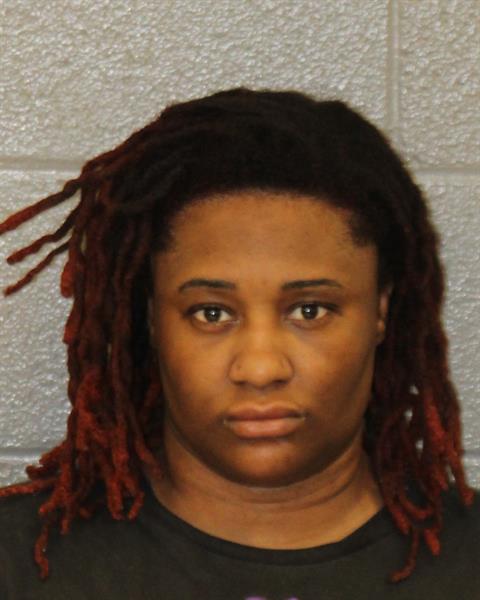 Mychelle Ford booking photo