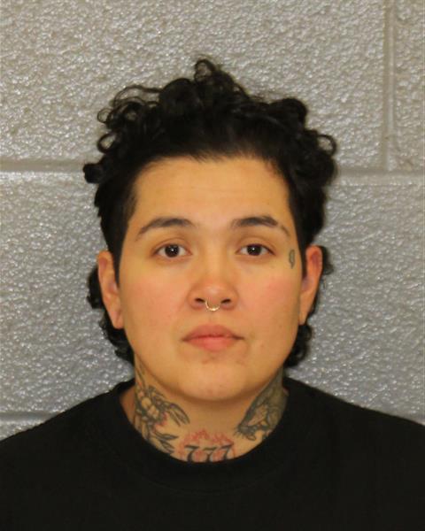 Karina Castellanos booking photo