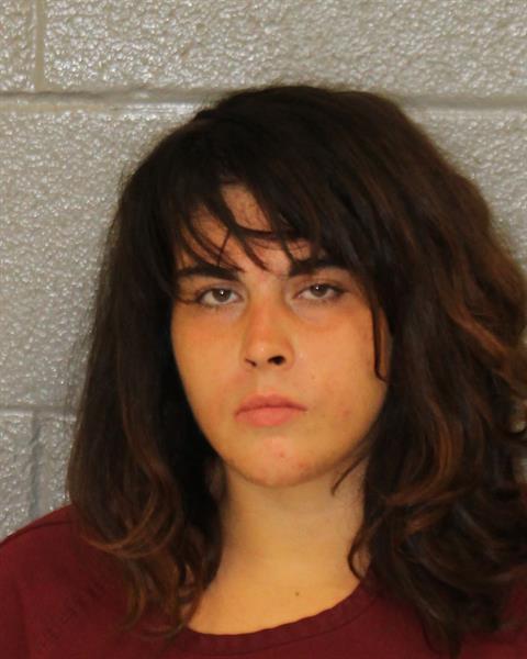 Leanna Hardison booking photo