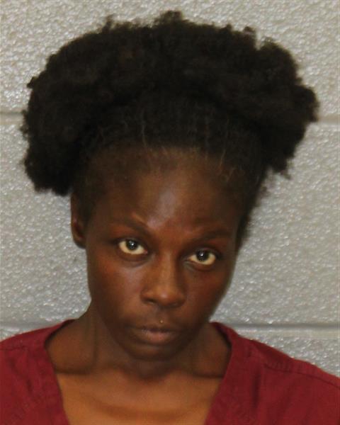 Marissa Fredlaw booking photo