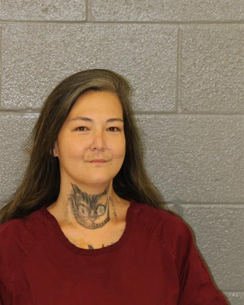 Decima Choi-strickland booking photo
