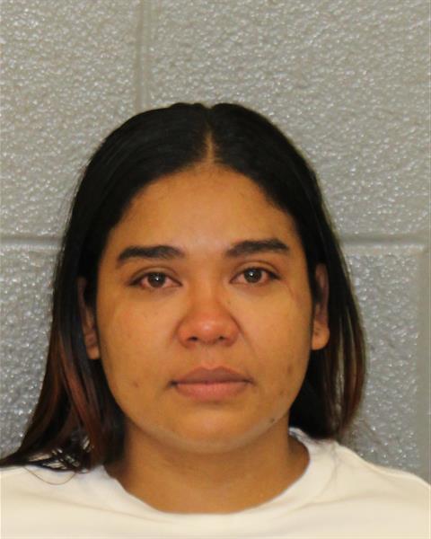 Bleydis Bolivar-muled booking photo