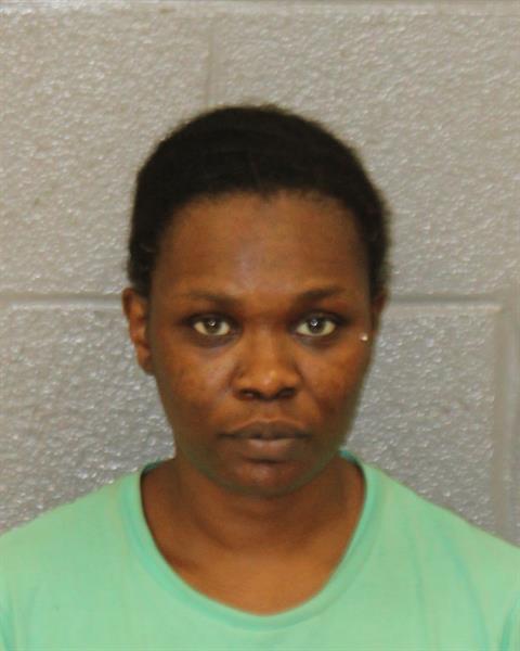 Courtnei Johnson booking photo