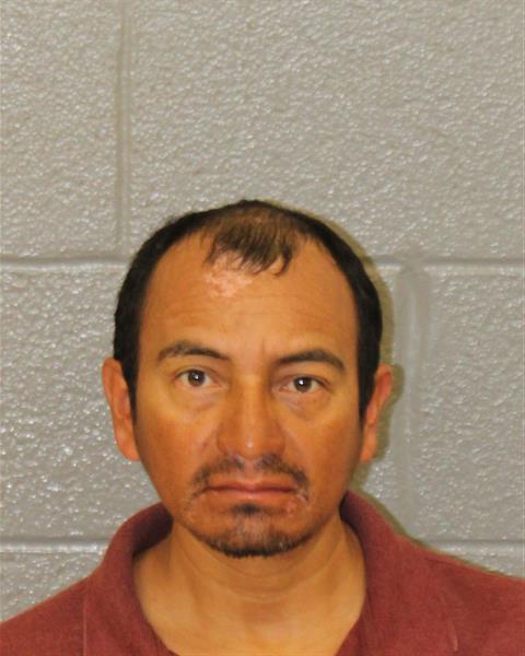 Luciano Flores-flores booking photo