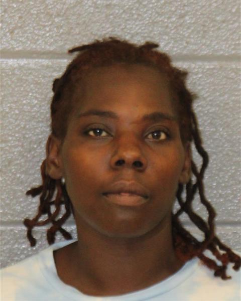 Ashley Sims booking photo