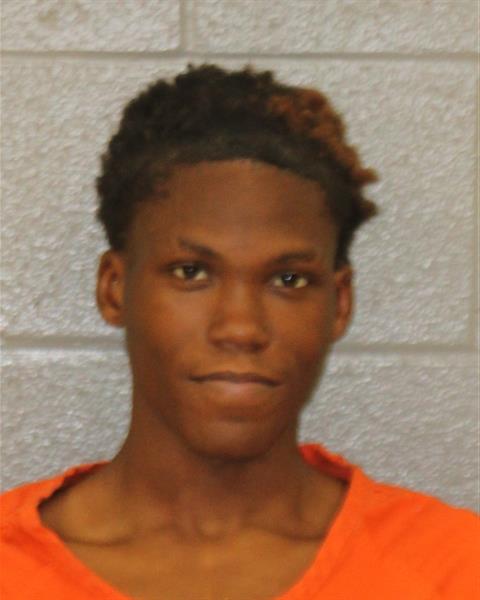 Johnquise Patterson booking photo