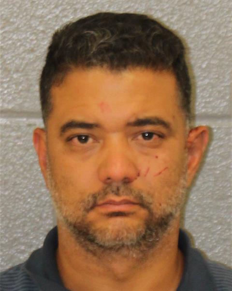 Luis Delarosa booking photo