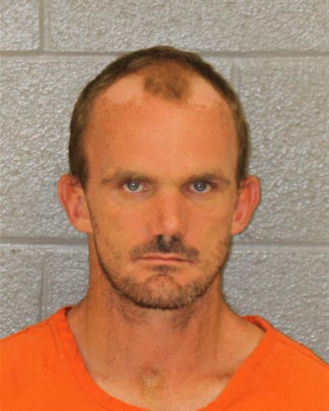 Jessy Hopkins booking photo