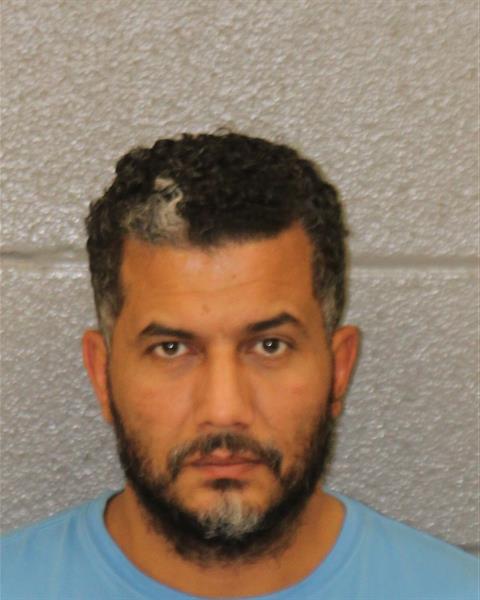 Ahmed Hefzy booking photo