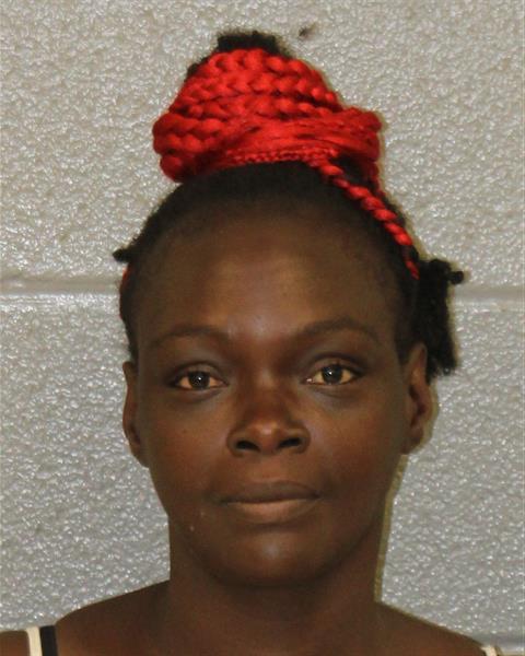 Karen Banks booking photo