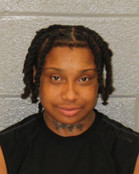 Armani Ford booking photo
