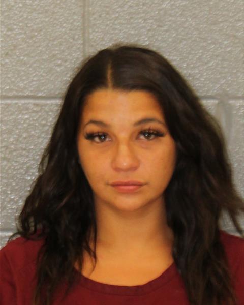 Danielle Paxton booking photo