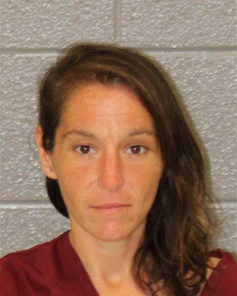 Lauren Davis booking photo